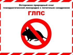 Профилактика ГЛПС.